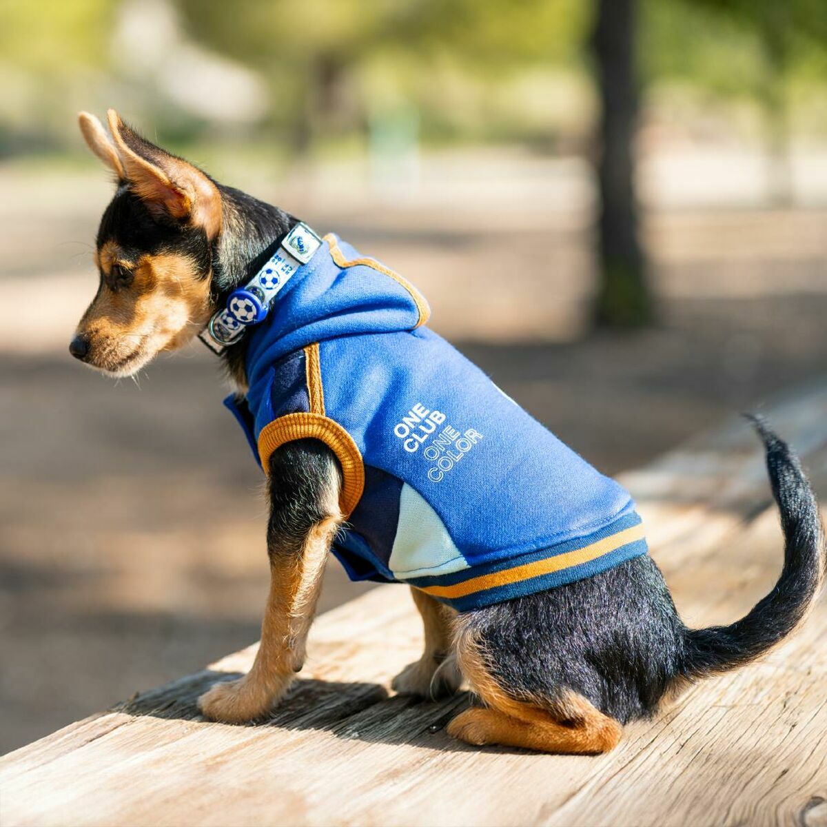 Sudadera para Perro Real Madrid C.F. Azul M