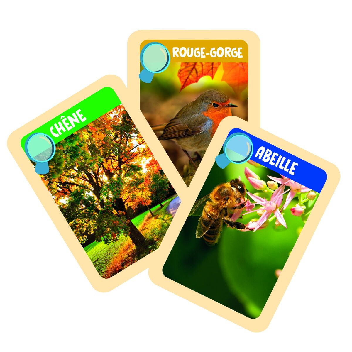 Juego de Ciencia Clementoni