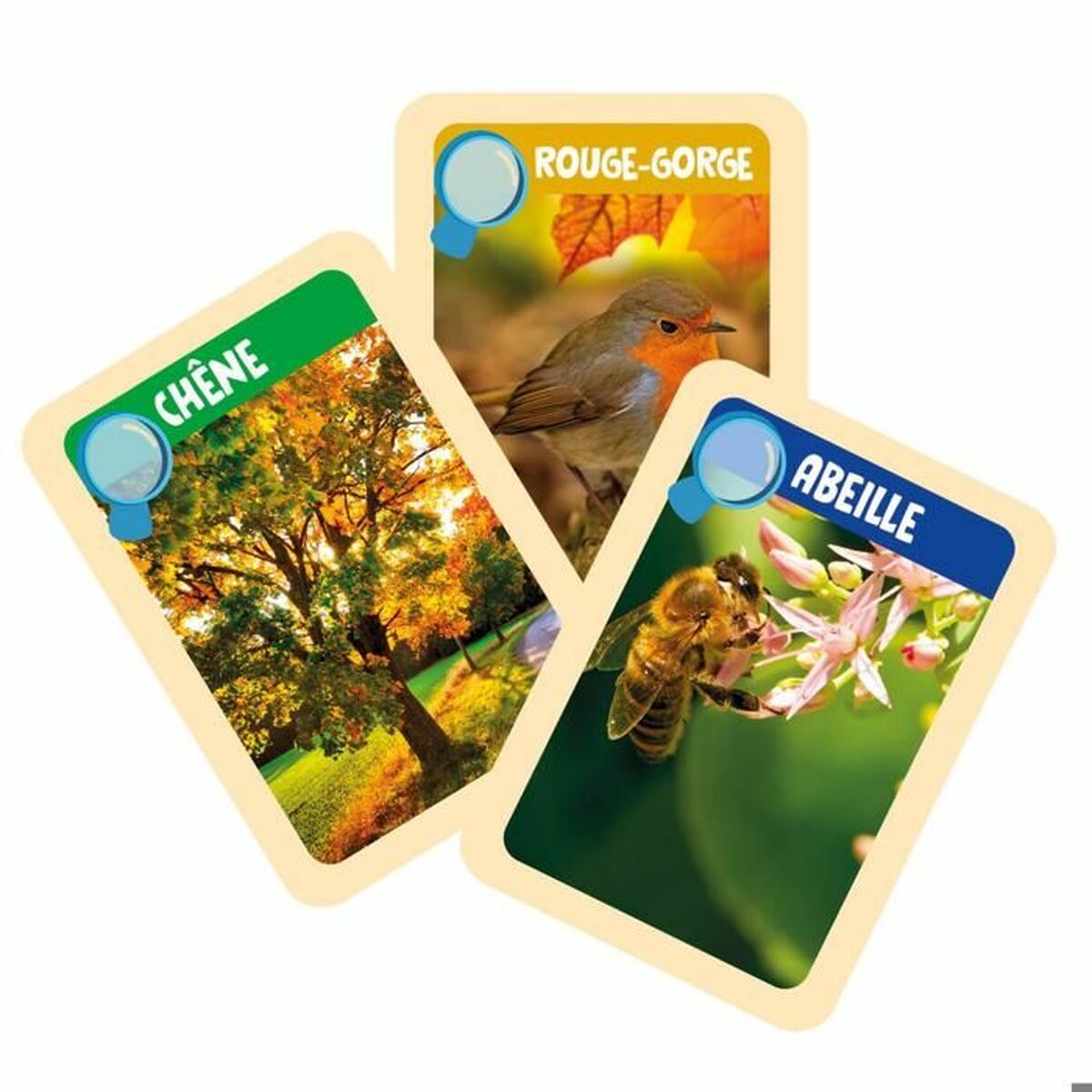 Juego de Ciencia Clementoni