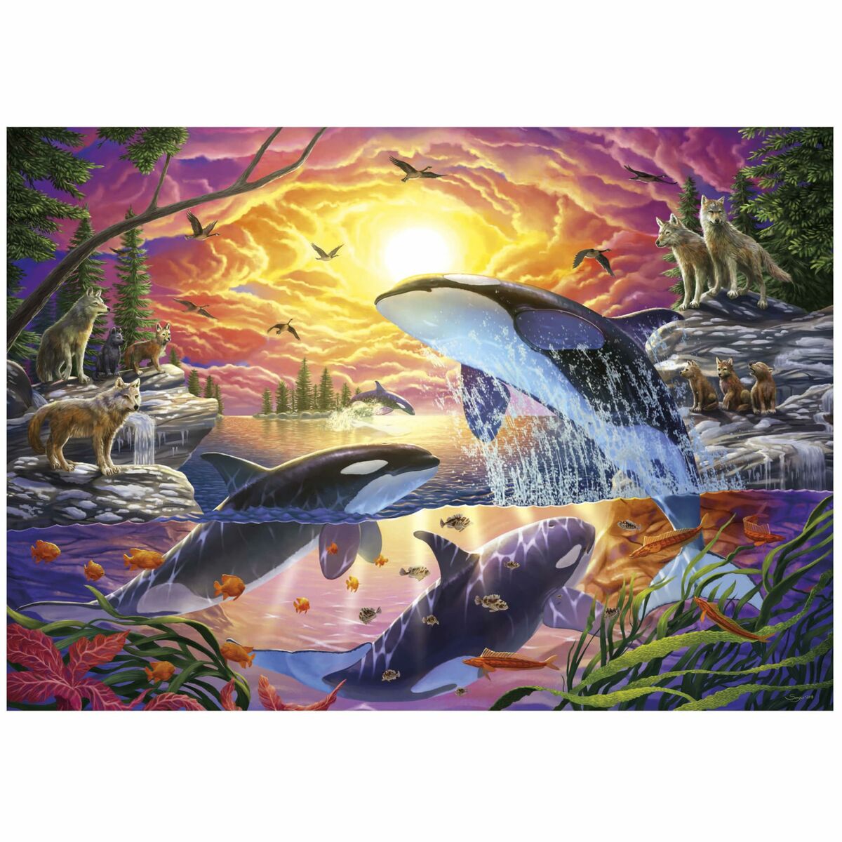 Puzzle Educa Orcas y Lobos 4000 Piezas