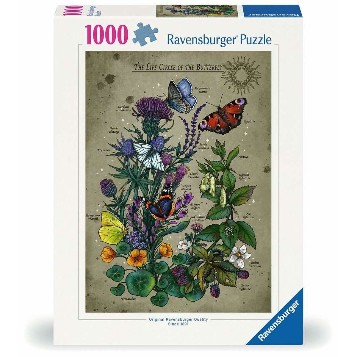 Puzzle Ravensburger The Life Circle of the Butterfly 1000 Piezas