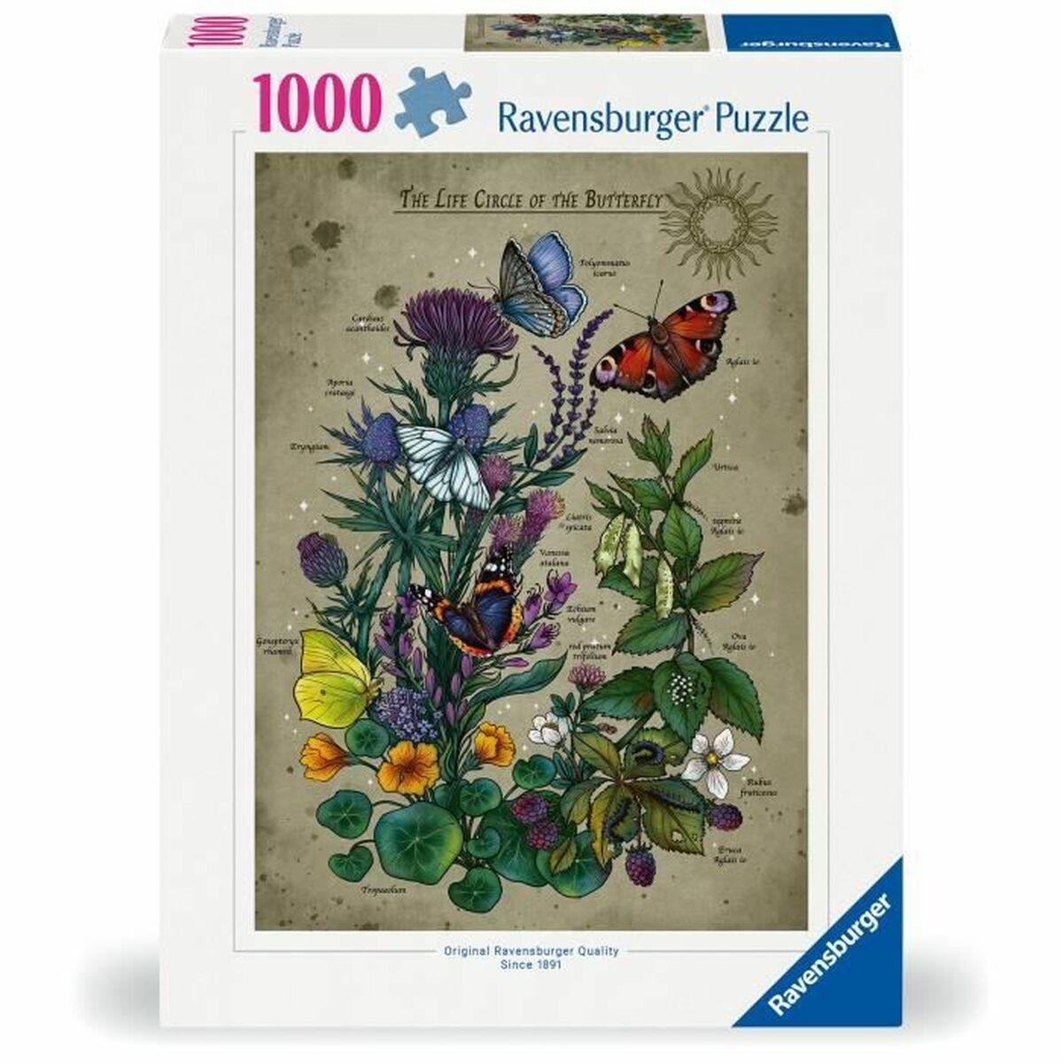 Puzzle Ravensburger The Life Circle of the Butterfly 1000 Piezas
