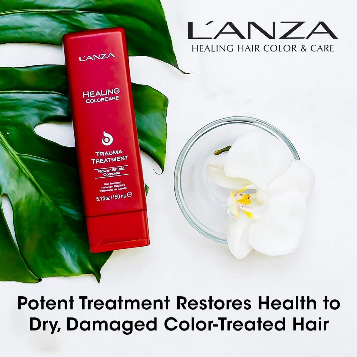 Mascarilla Protectora del Color L'ANZA Trauma Treatment 1 L