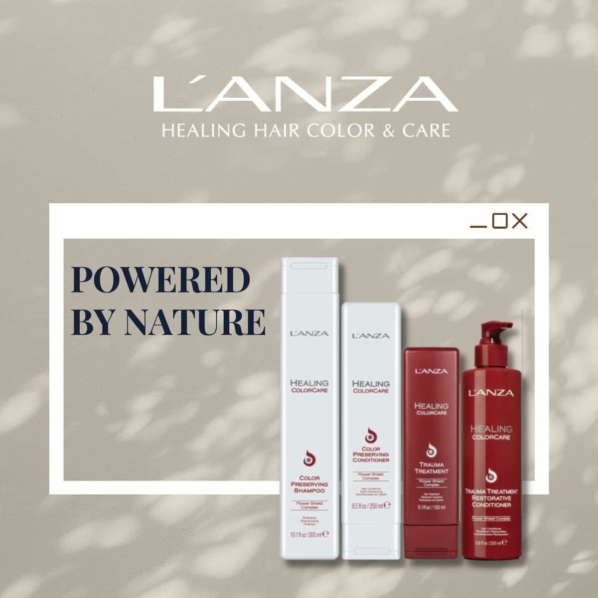Mascarilla Protectora del Color L'ANZA Trauma Treatment 1 L
