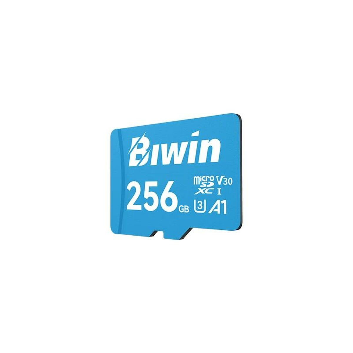 Tarjeta de Memoria Micro SDXC Biwin MS100 256 GB