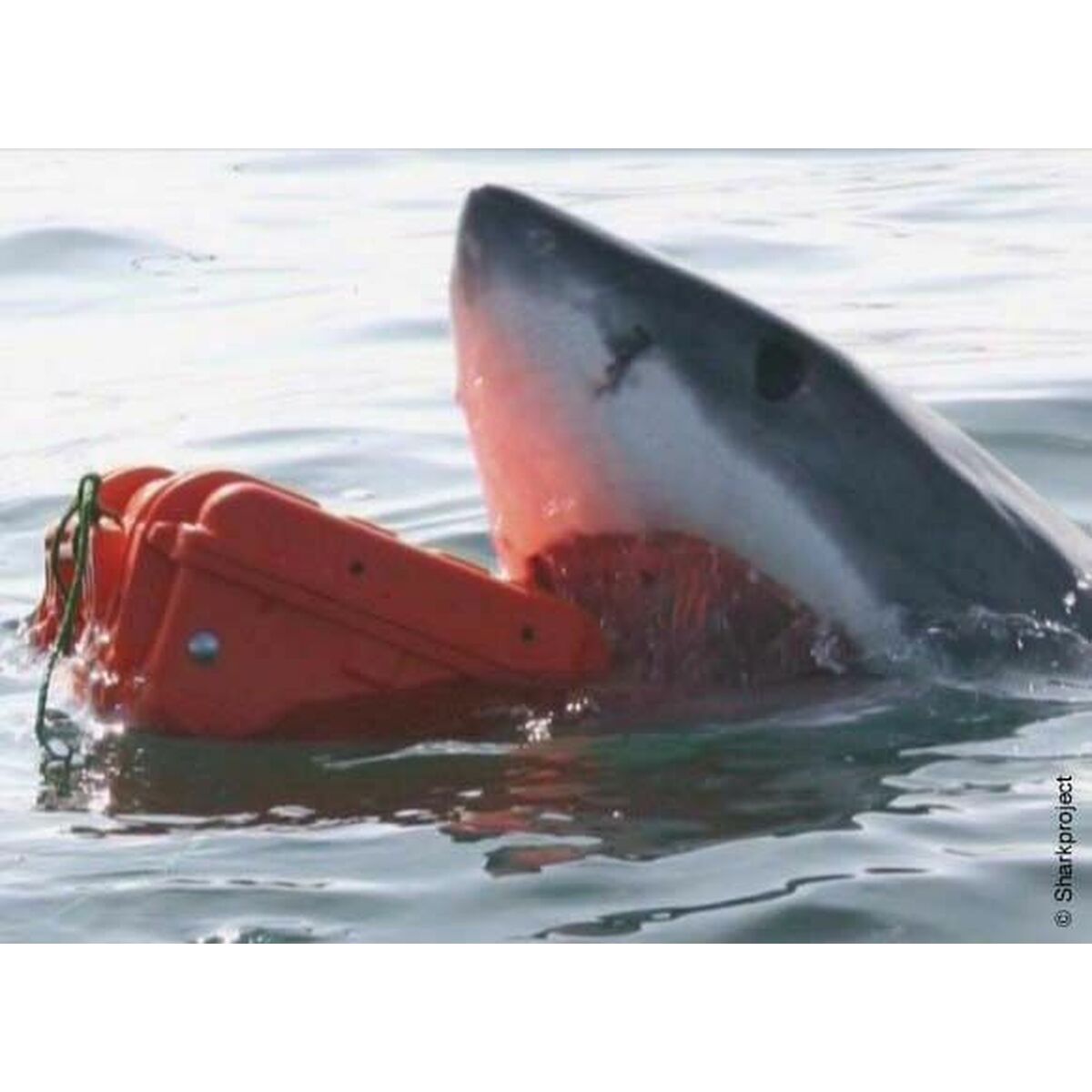 Maletín de Herramientas GT Line EXPLORER 2214 24,5 x 21,5 x 16,2 cm Metal Polipropileno