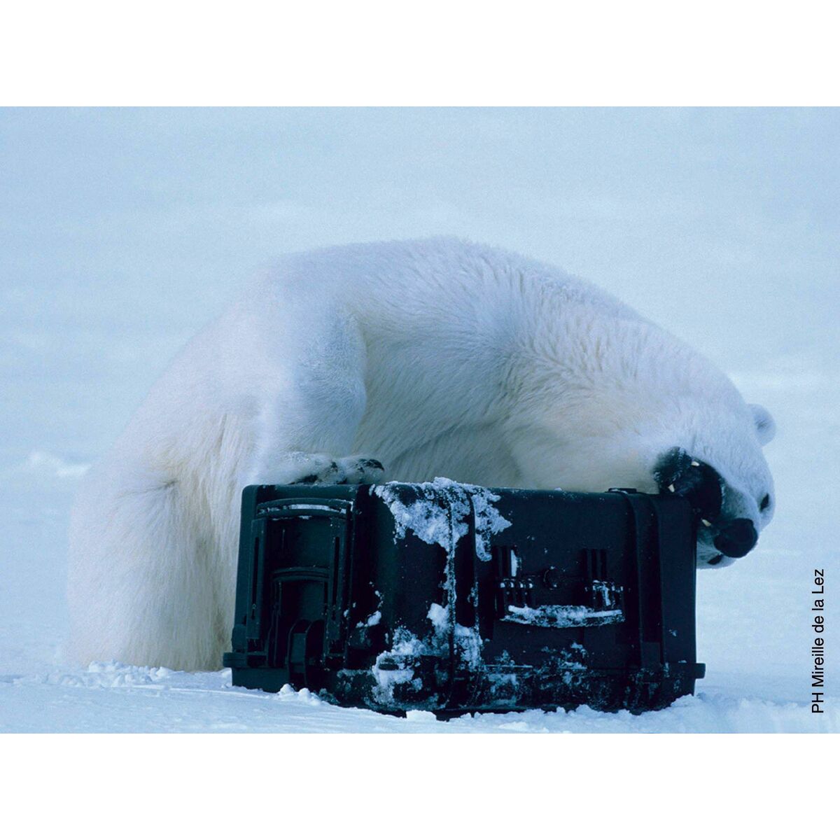 Maletín de Herramientas GT Line EXPLORER 7641 Espuma 86 x 55 x 43,5 cm 59 L