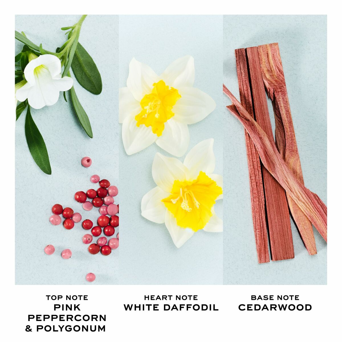 Perfume Mujer Marc Jacobs PERFECT EDT 50 ml