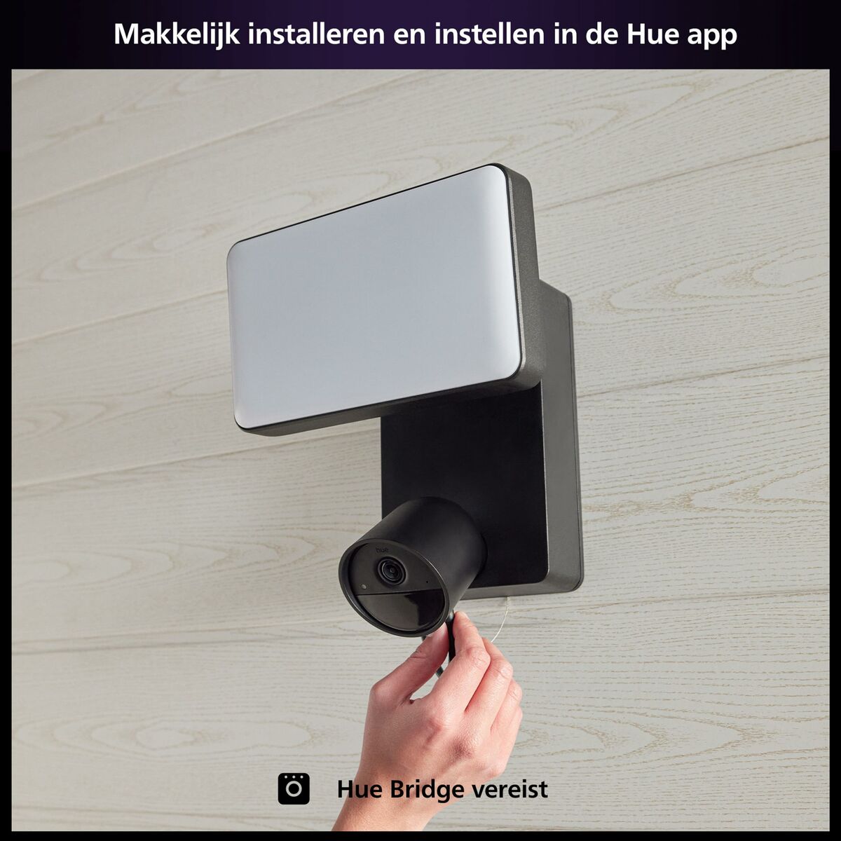 Cámara de vigilancia simulada Philips Hue Secure Flood Light