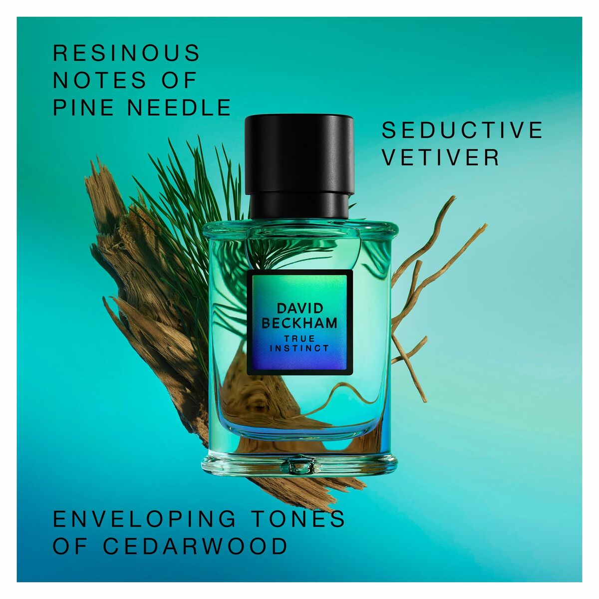 Perfume Hombre David Beckham True Instinct EDP 75 ml