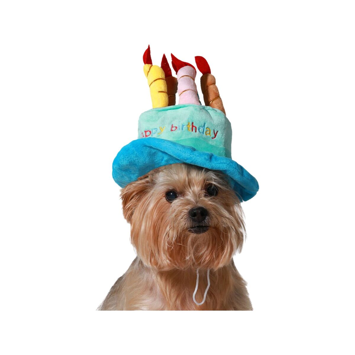 Disfraz para Perro Azul Gorro Cumpleaños