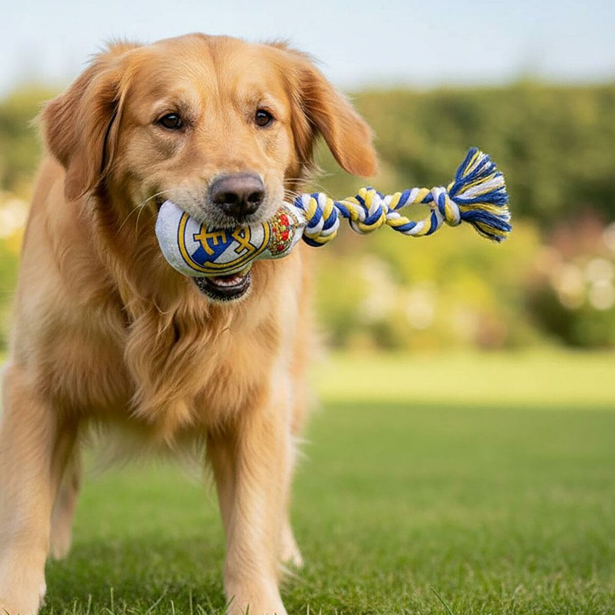 Juguete para perros Real Madrid C.F. 15 x 33 x 10 cm