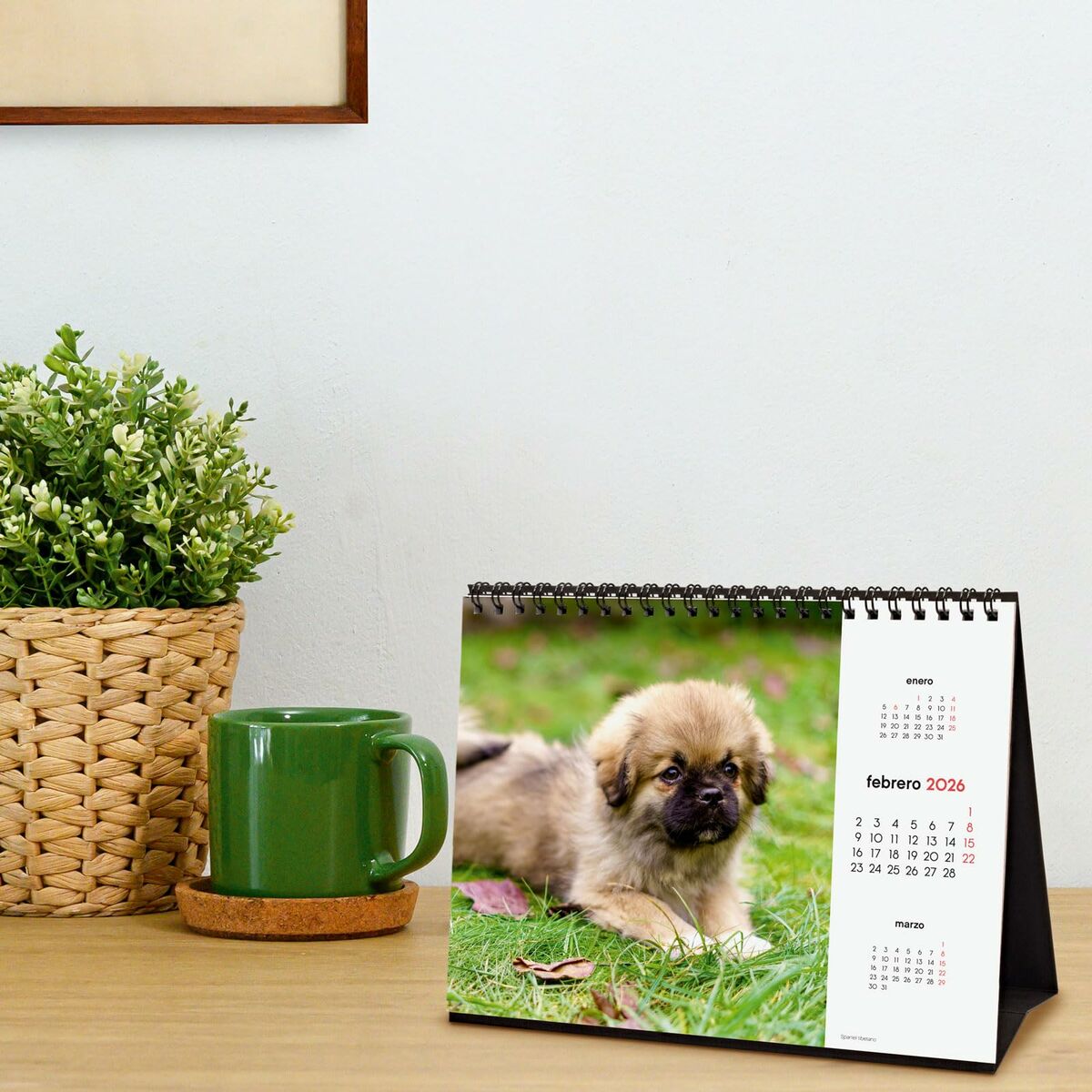 Calendario de Sobremesa Finocam Multicolor Papel 21 x 15 cm