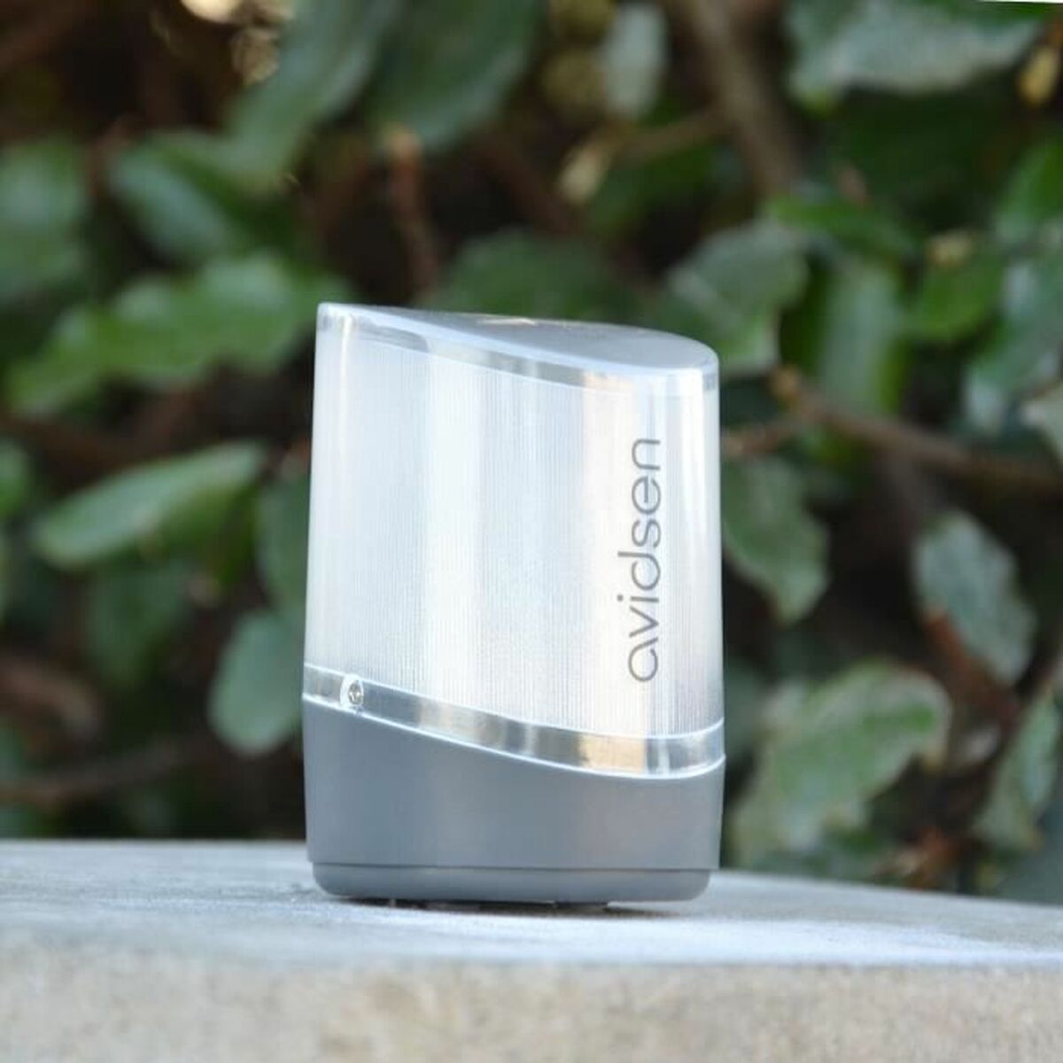 Motor para puerta de garaje Avidsen 114202