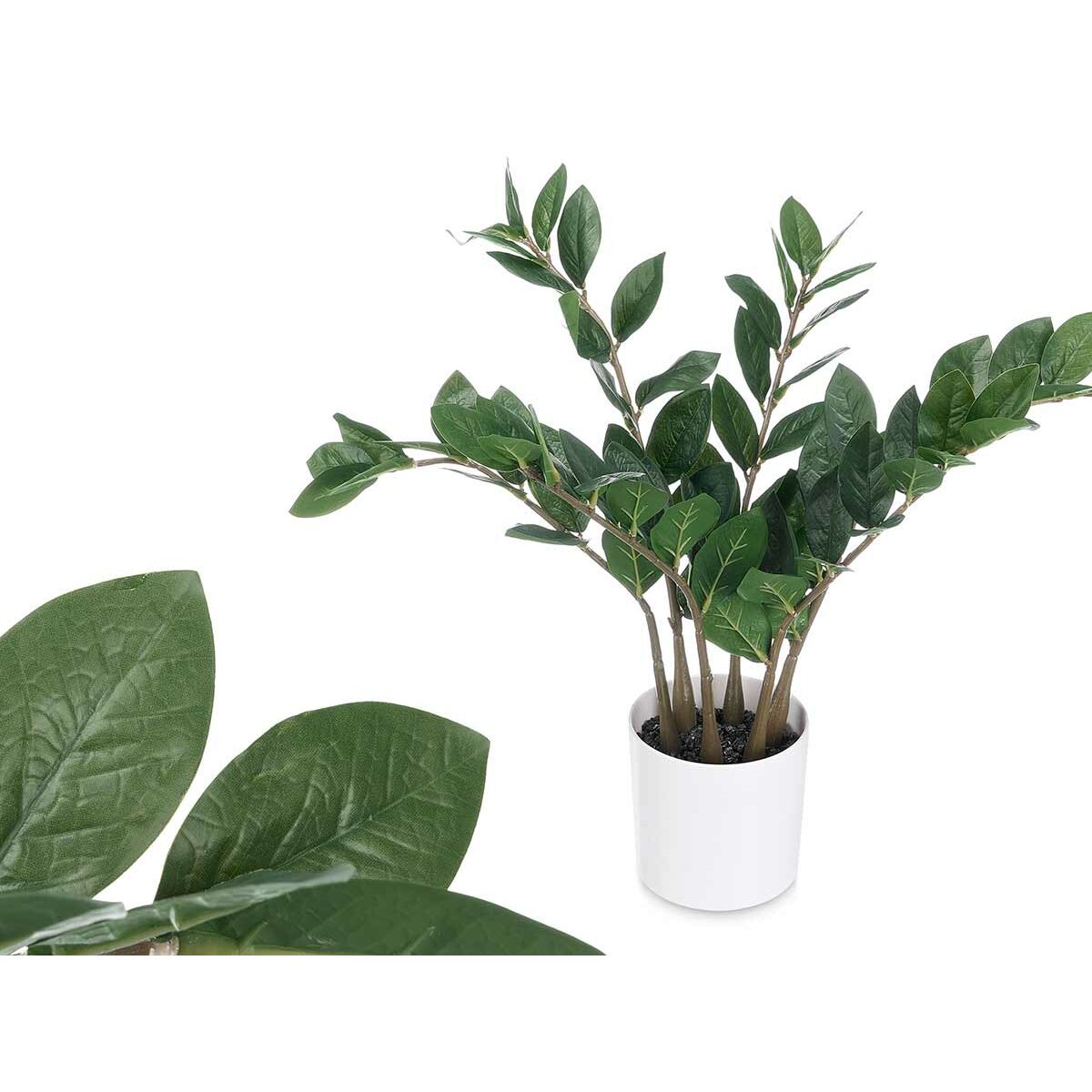 Planta Decorativa Ibergarden ZAMIOCULCA Polietileno Melamina 53 x 55 x 53 cm (6 Unidades)