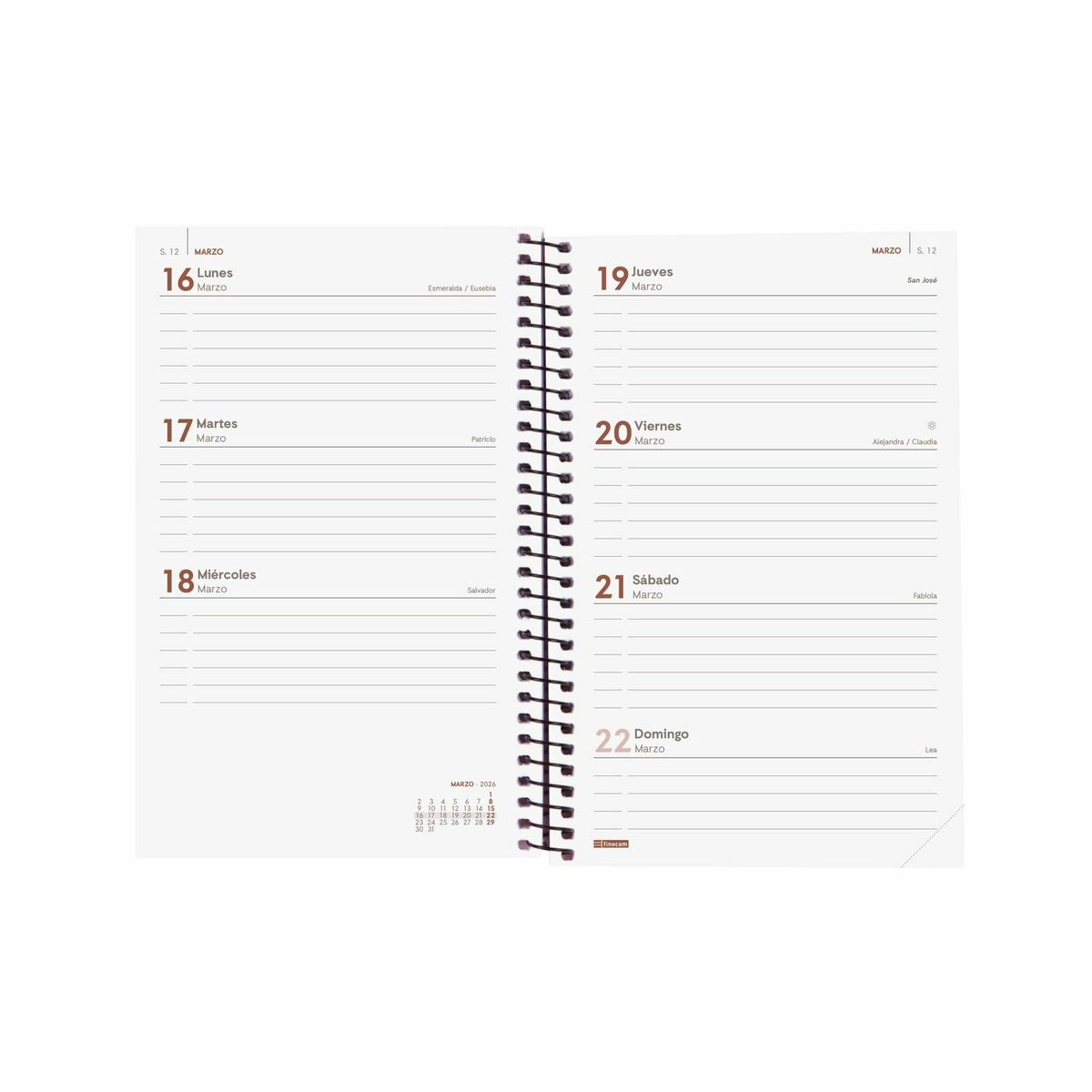 Agenda Finocam OPAQUE Negro 11,7 x 18,1 cm 2026