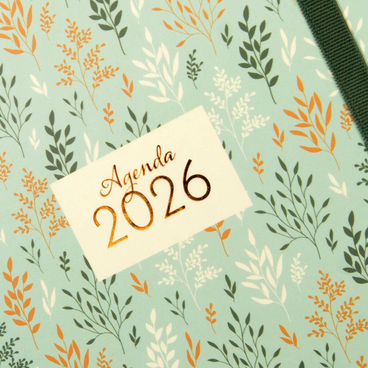 Agenda Finocam YOU 11,7 x 18,1 cm 2026