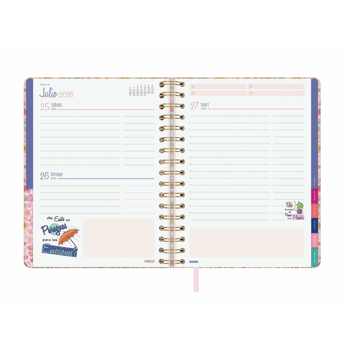 Agenda Finocam TALKUAL A5 15,5 x 21,7 cm Dorado 2026