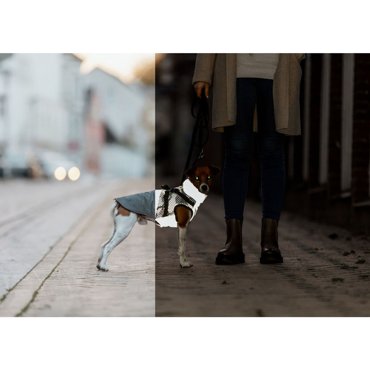 Abrigo para Perro Trixie Gris XS