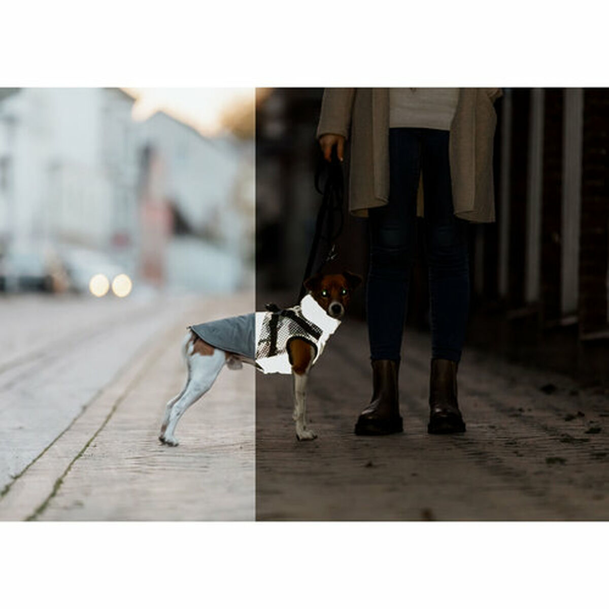 Abrigo para Perro Trixie Gris XS