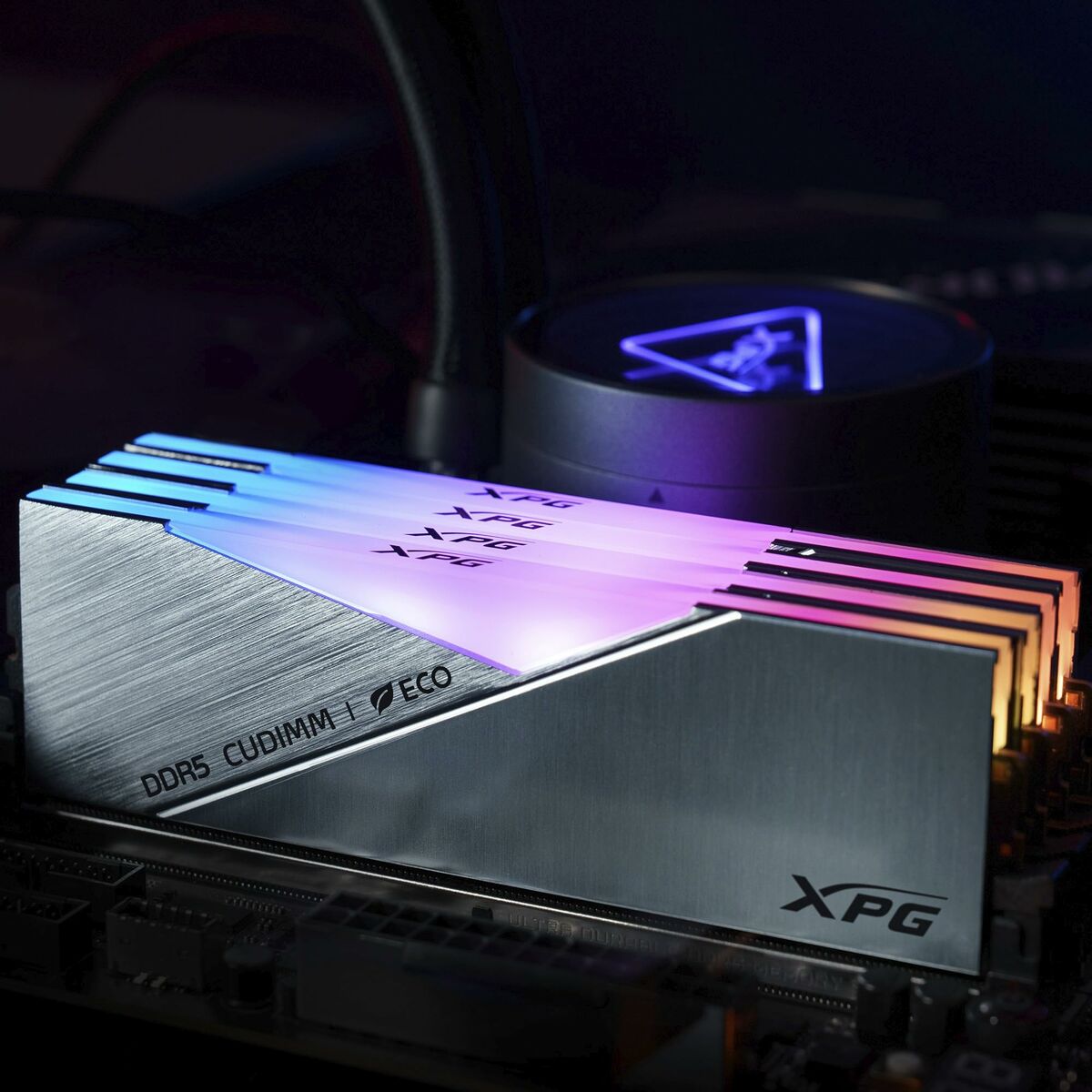 Memoria RAM Adata AX5CU8400C4024G-DCLACRSG 24 GB DDR5 CL40