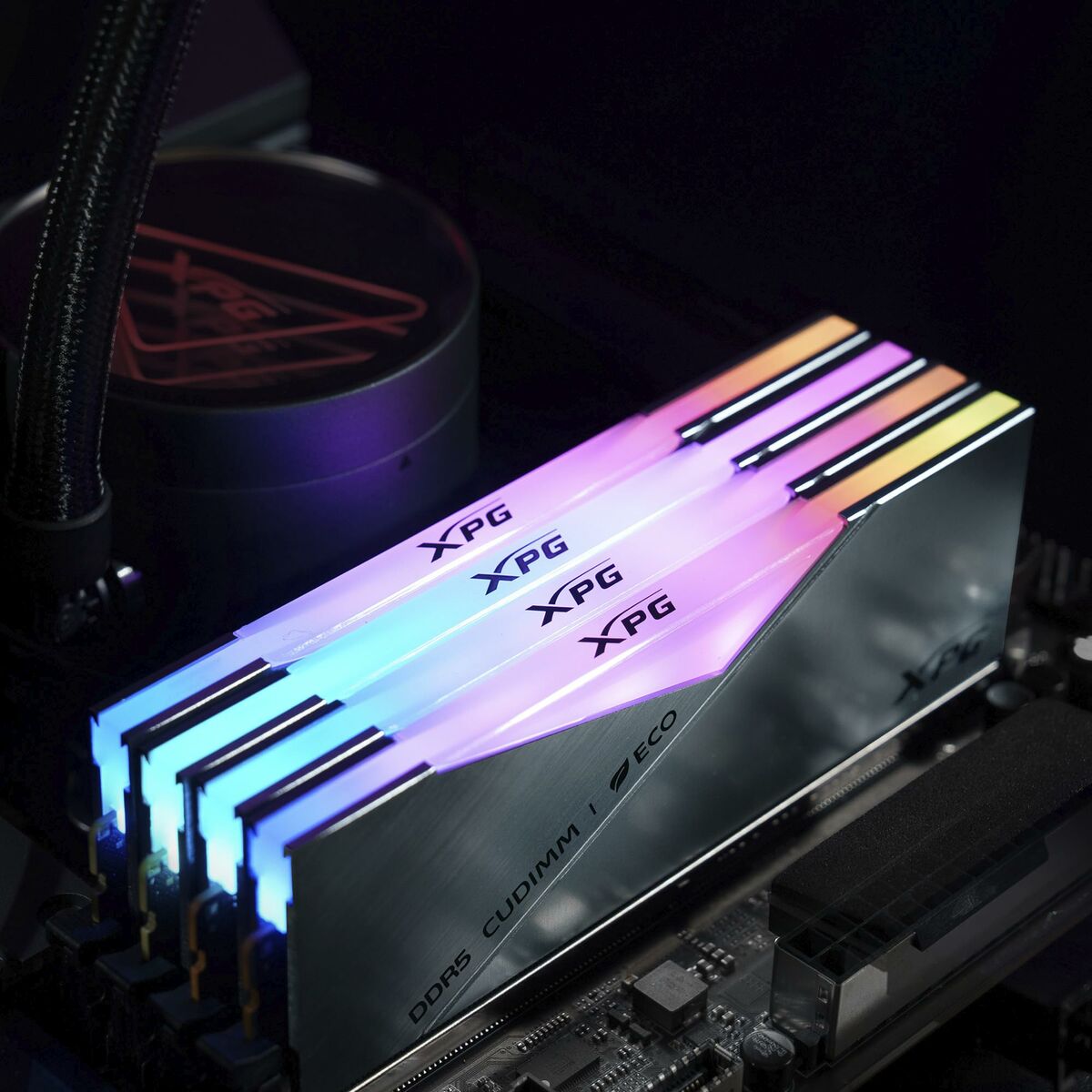 Memoria RAM Adata AX5CU8400C4024G-DCLACRSG 24 GB DDR5 CL40