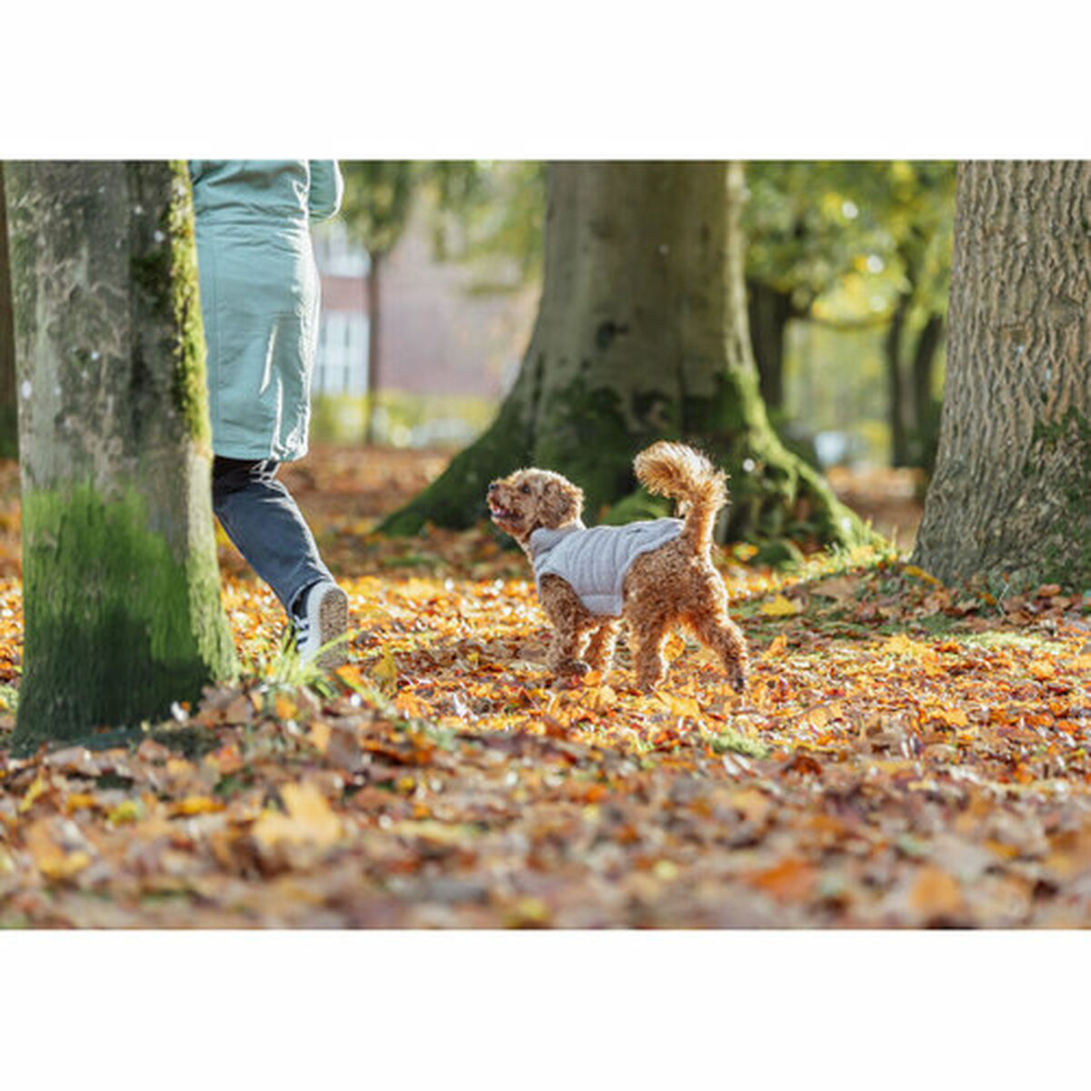 Abrigo para Perro Trixie Gris XS