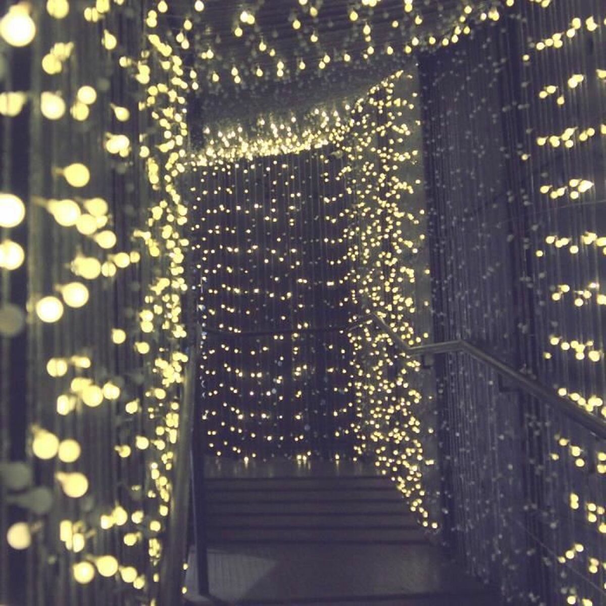 Guirnalda de Luces LED Lumi Garden BILLY SPHERICAL 60 LEDS Negro noir 1 W