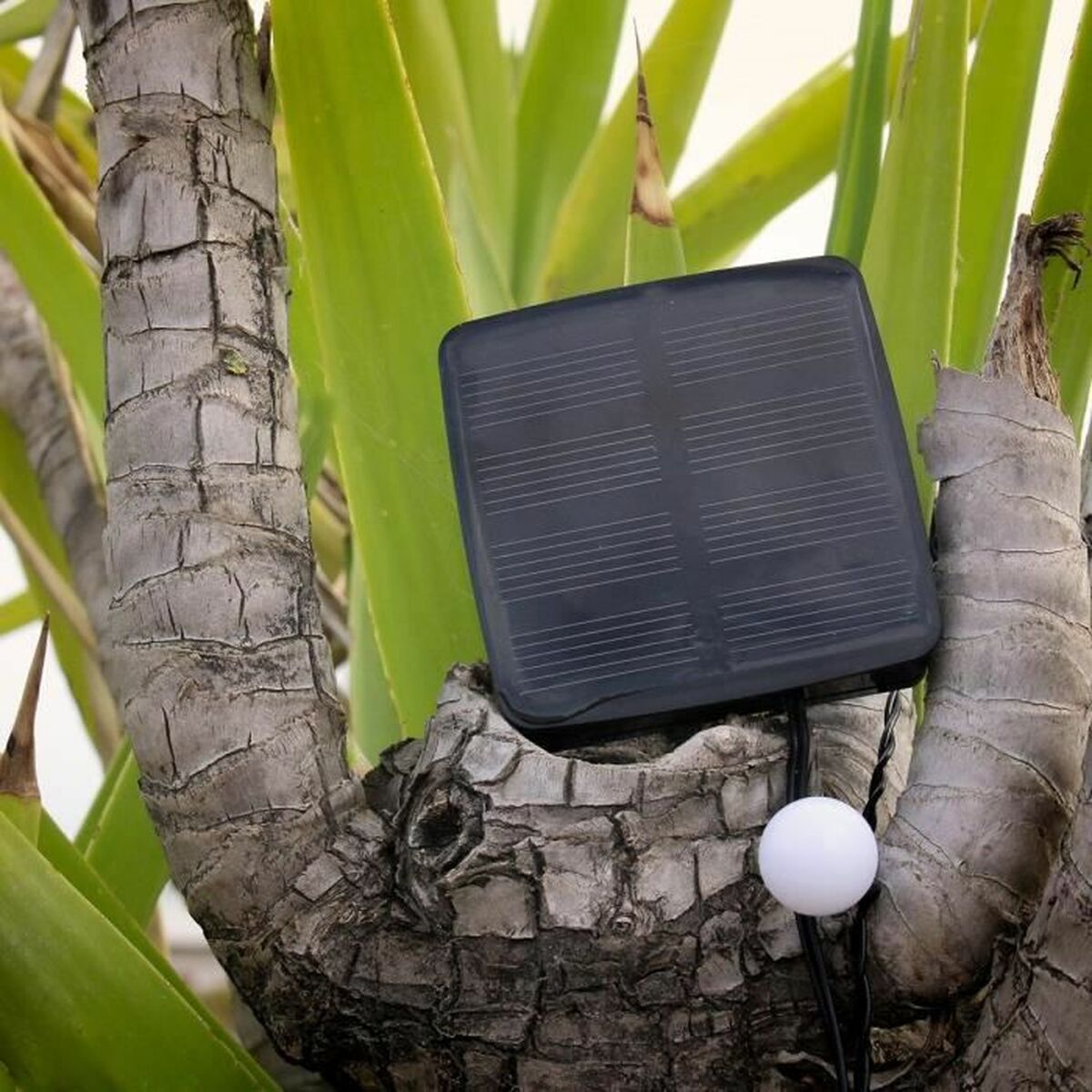 Guirnalda de Luces LED Lumi Garden BILLY SPHERICAL 60 LEDS Negro noir 1 W