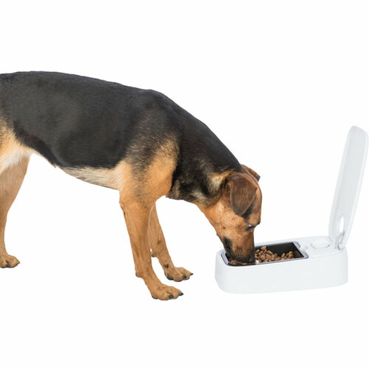 Comedero para Mascotas Trixie Blanco Negro Plástico 300 ml