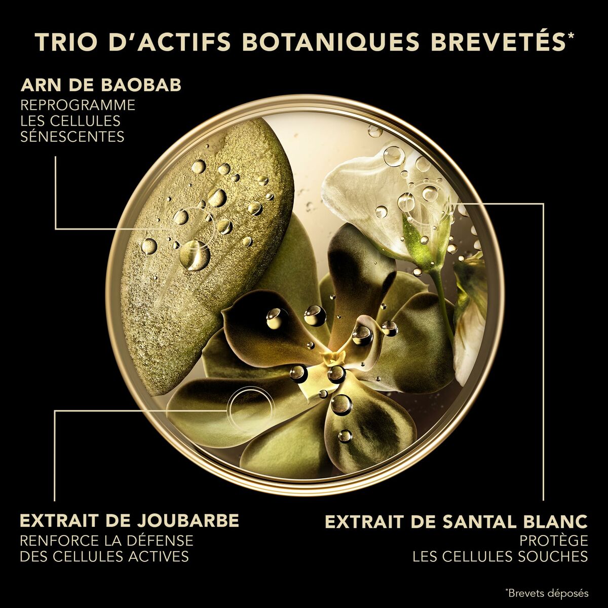 Crema Facial Lierac PREMIUM LIERAC 50 ml