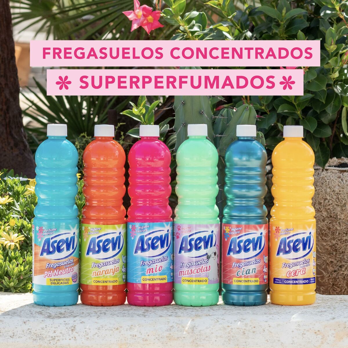 Limpiador de Suelos Asevi 1 L