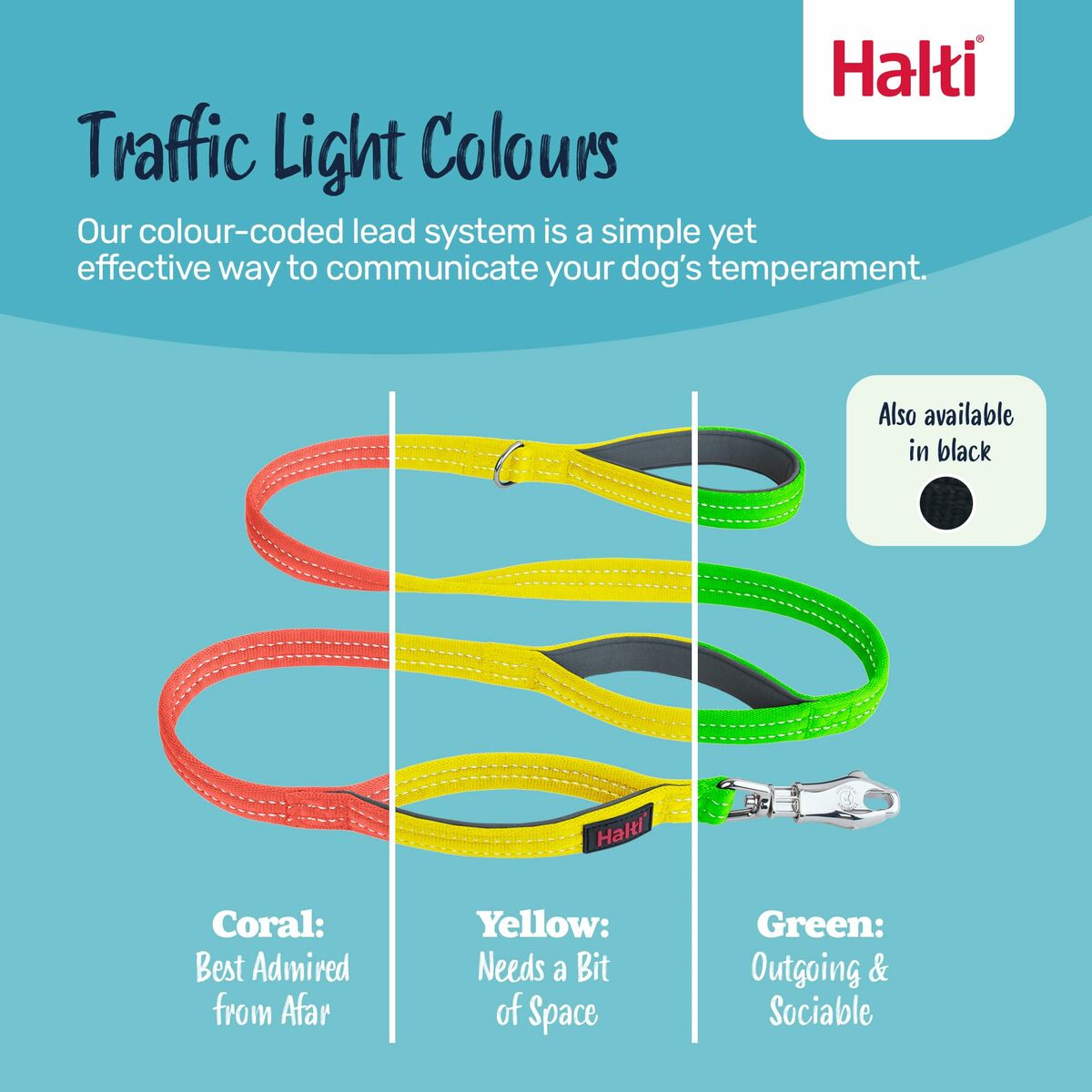 Correa de adiestramiento Company of Animals HALTI BRIG SAFETY Negro