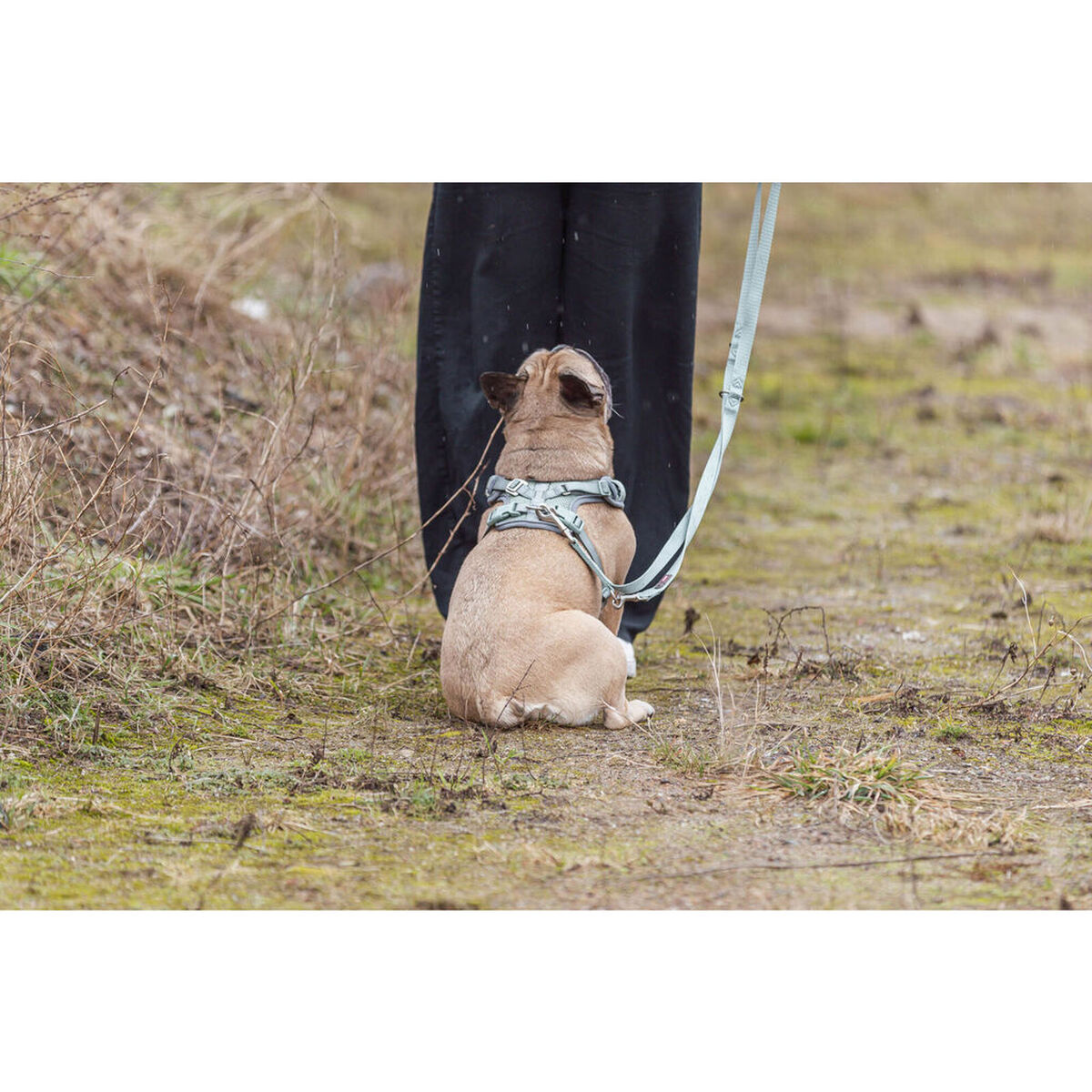 Arnés para Perro Trixie Premium FlexMesh L