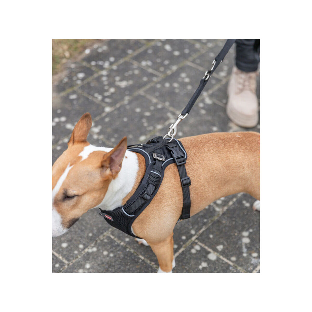 Arnés para Perro Trixie Premium FlexMesh Negro L