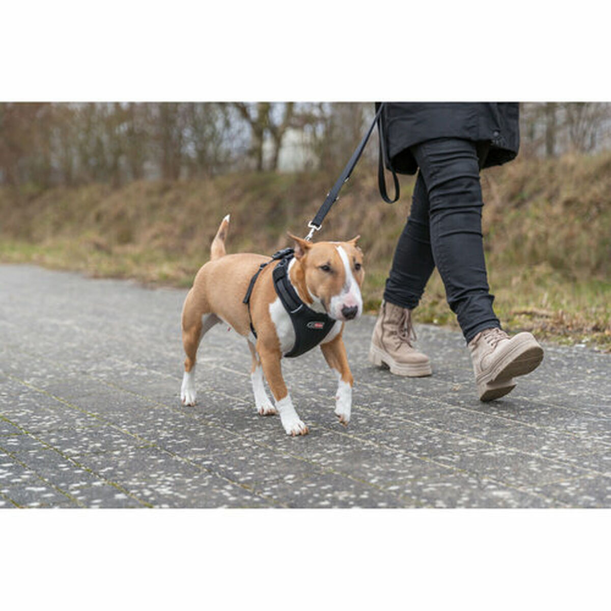 Arnés para Perro Trixie Premium FlexMesh Negro L