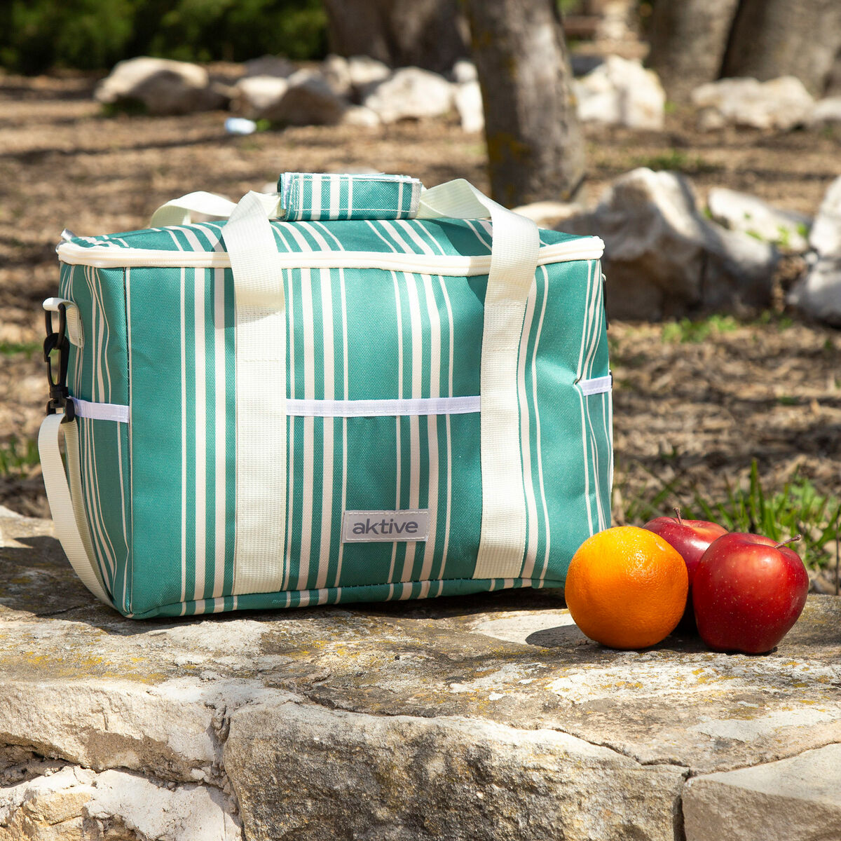 Bolsa Térmica Aktive 35 x 25 x 21 cm (6 Unidades)