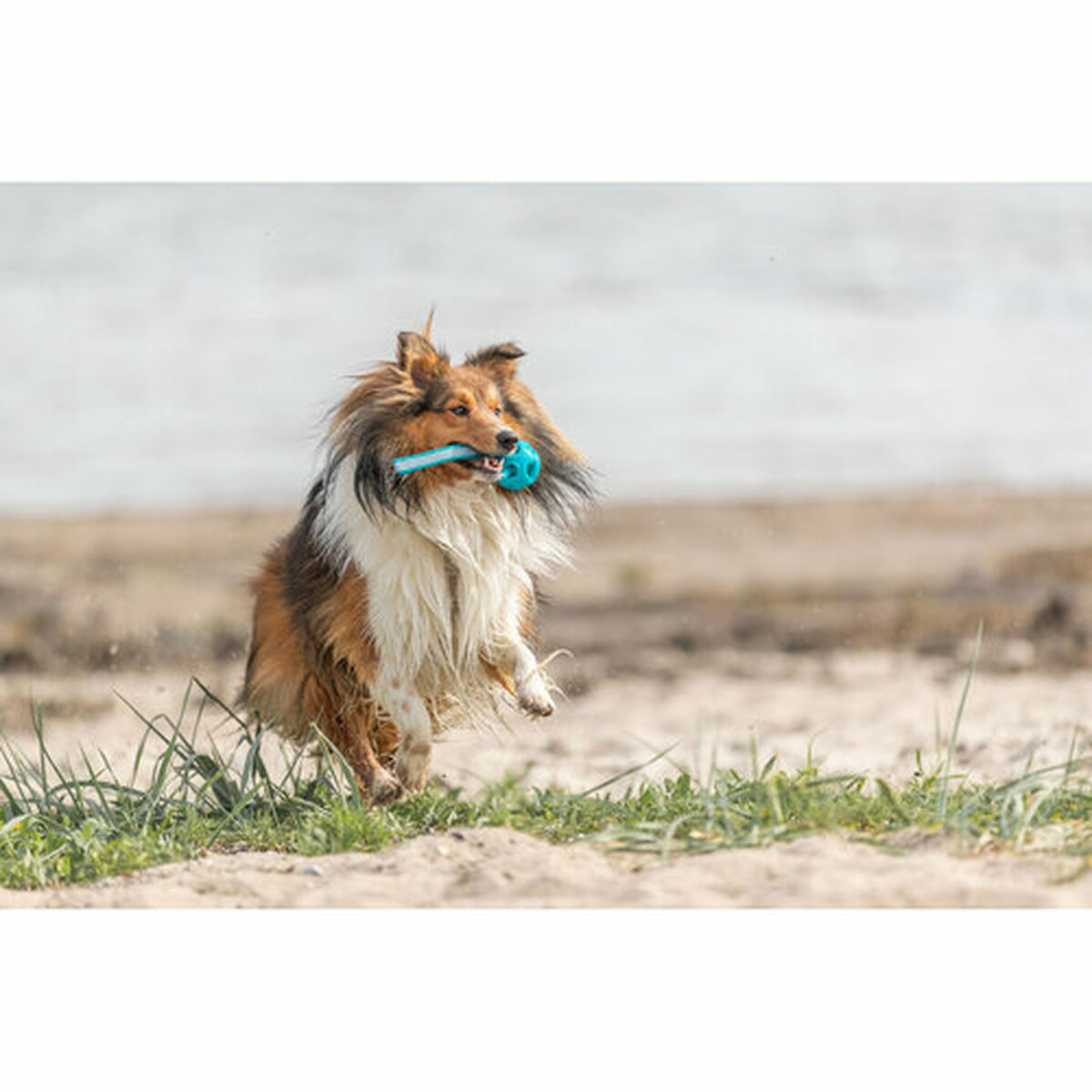 Juguete para perros Trixie Turquesa ø 6 x 23 cm Bola