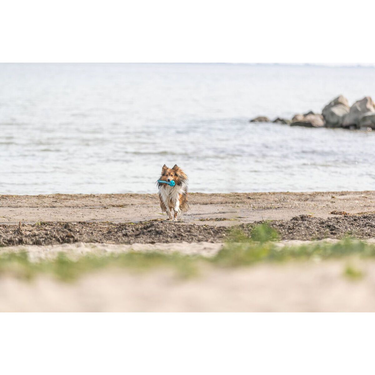 Juguete para perros Trixie Turquesa ø 6 x 23 cm Bola