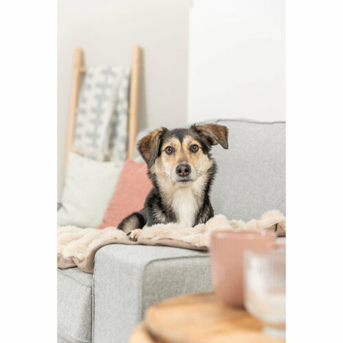 Manta para Mascotas Trixie Elli Arena Poliéster 70 × 50 cm