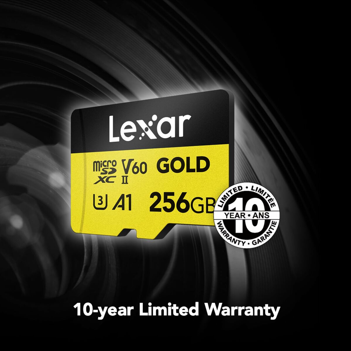Tarjeta de Memoria SD Lexar LMSGOLD256G-BNNNG 256 GB
