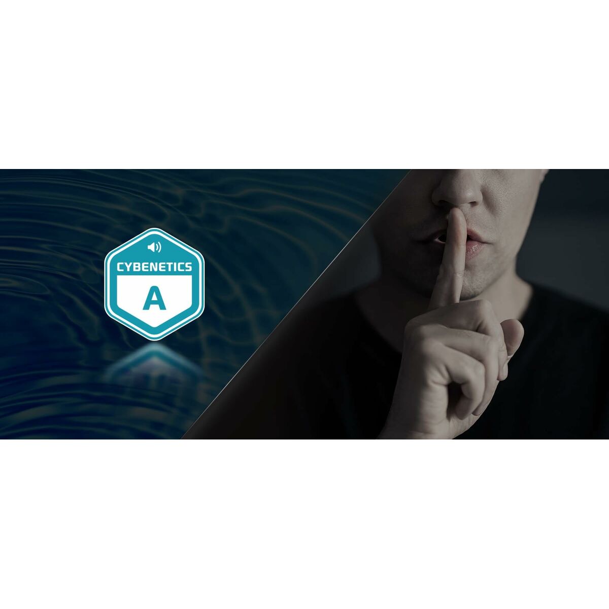 Fuente de Alimentación ASRock 90-UXS100-GFEABA 1000 W 80 Plus Gold