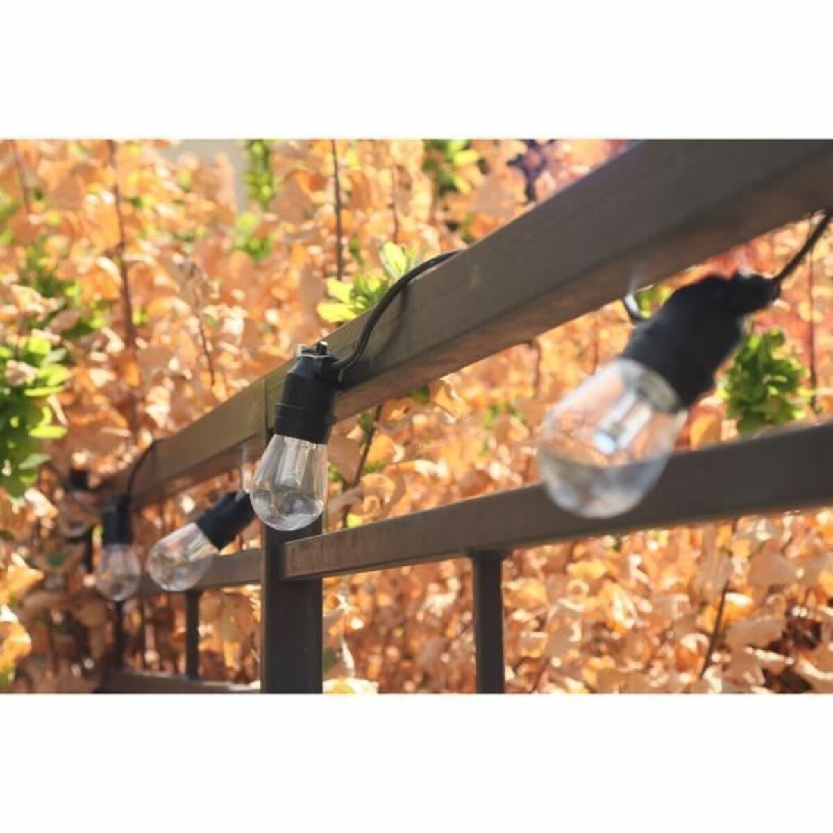 Guirnalda de Luces LED Rio Negro Multicolor 5 m LED RGB 20