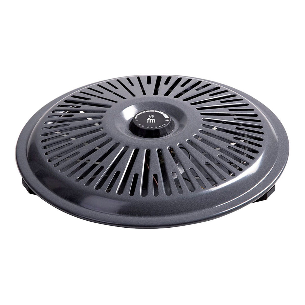 Brasero FM Calefacción B-750 Gris 700 W