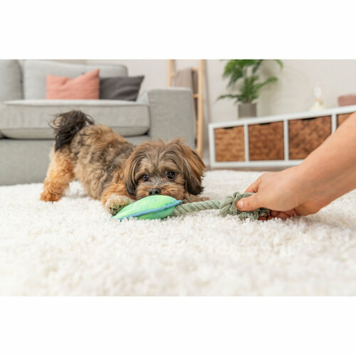 Peluche para perros Trixie Azul Verde Poliéster 22 cm