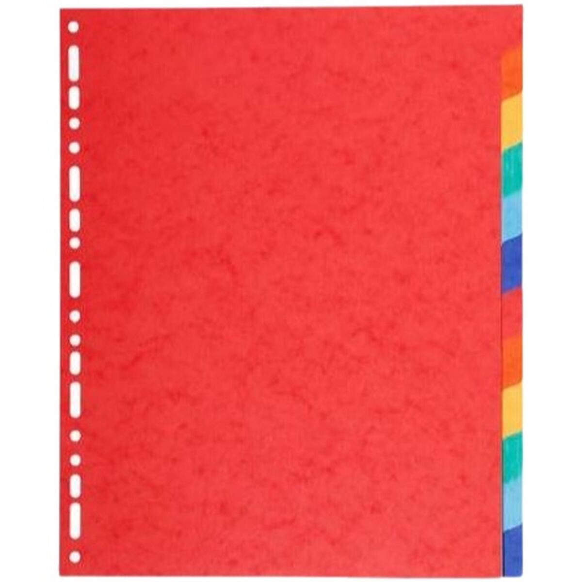 Separadores Exacompta Maxi Multicolor A4+ 12 Hojas (25 Unidades)