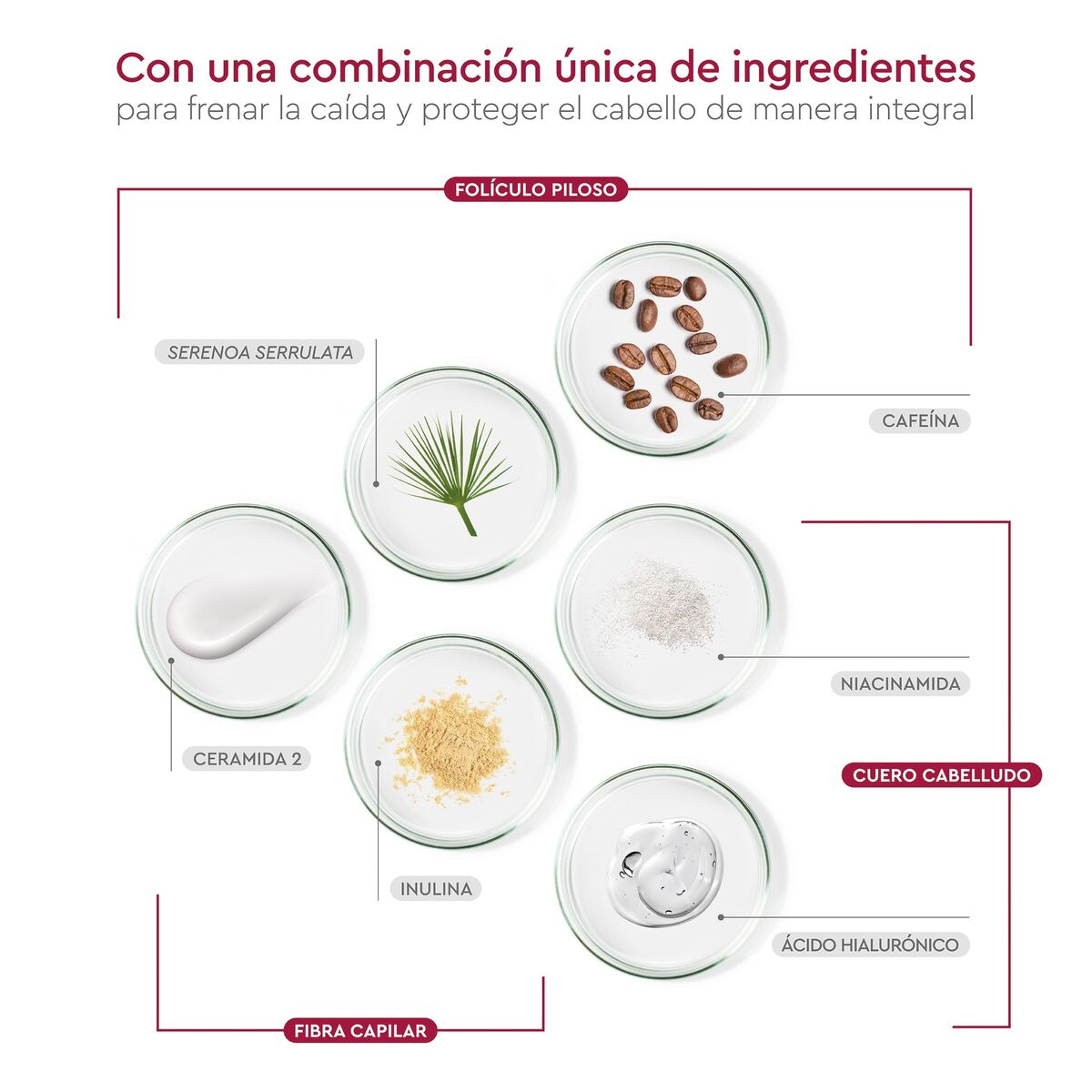 Champú Pilexil PILEXIL CHAMPÚ