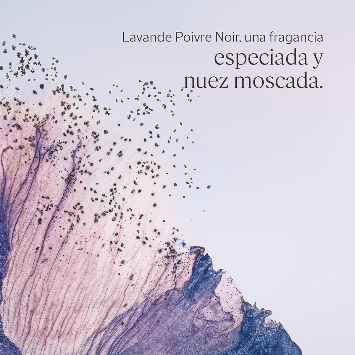 Desodorante en Spray L'Occitane En Provence LAVANDE POIVRE NOIR