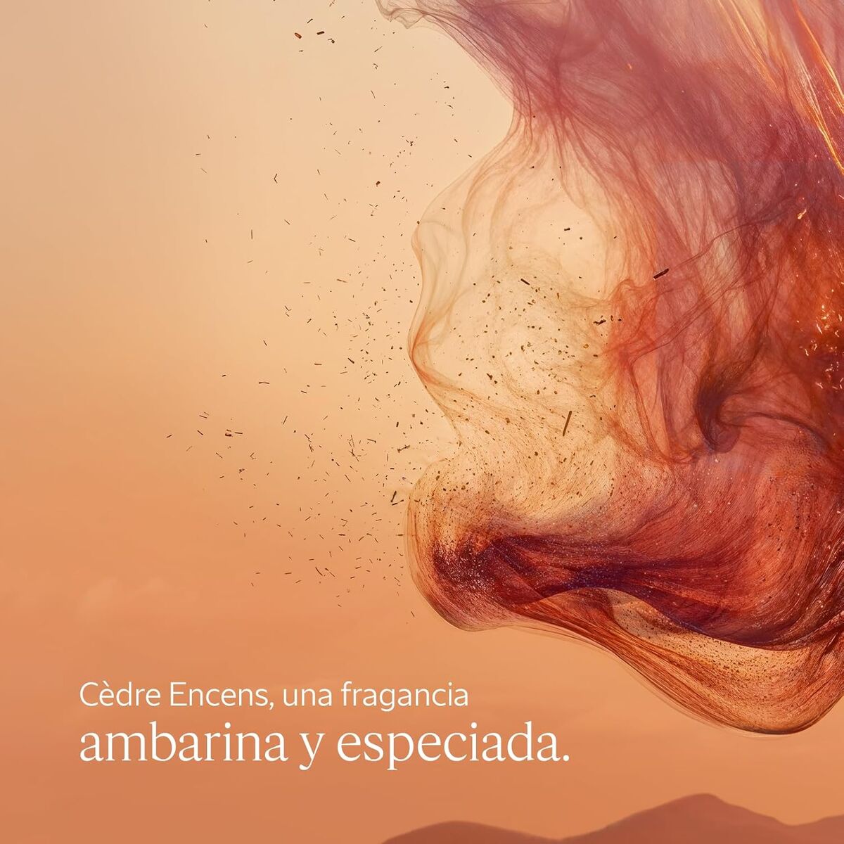 Desodorante en Spray L'Occitane En Provence CÉDRE ENCENS
