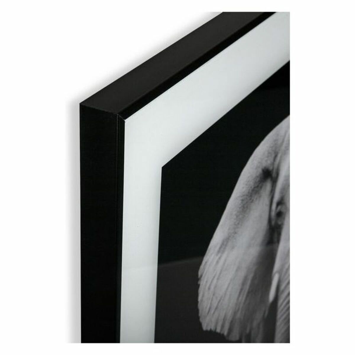 Cuadro Versa Cristal 2 x 50 x 50 cm